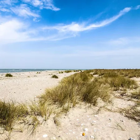 Strandhafer-balkon Mit Meerblick- 2 Min Zum * Schausende